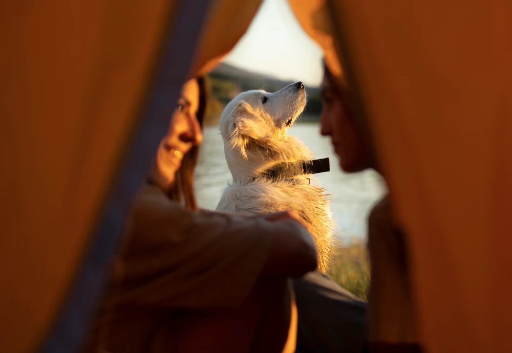 tee pee tent